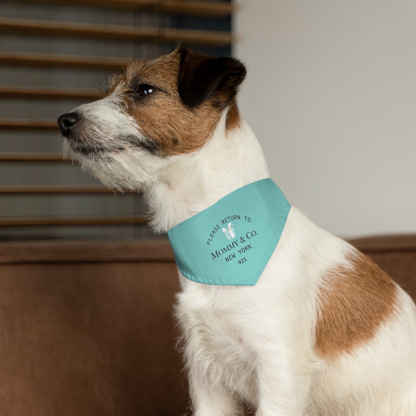 Personalized Little Blue Box Dog Bandana Collar - Please Return to Mommy and Co Pet Collar