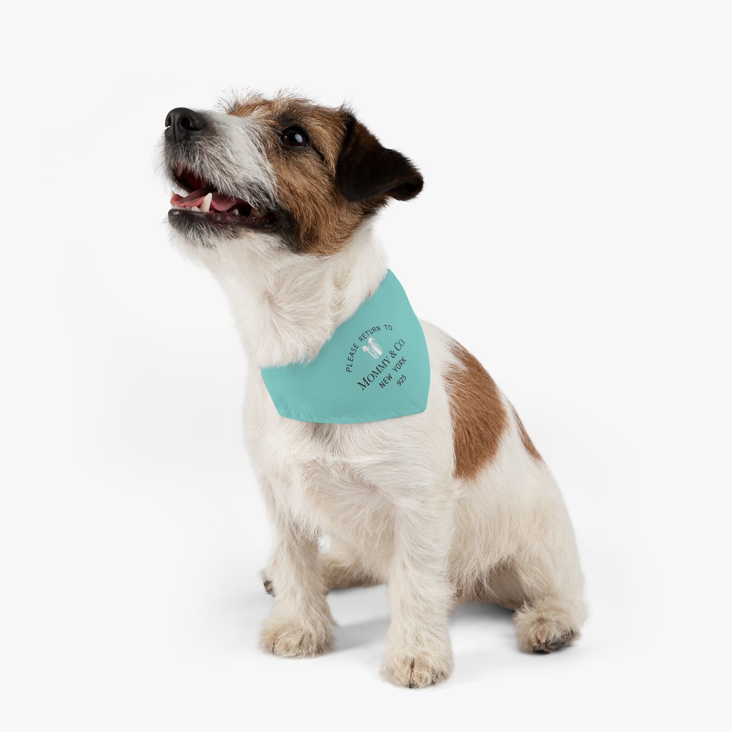 Personalized Little Blue Box Dog Bandana Collar - Please Return to Mommy and Co Pet Collar