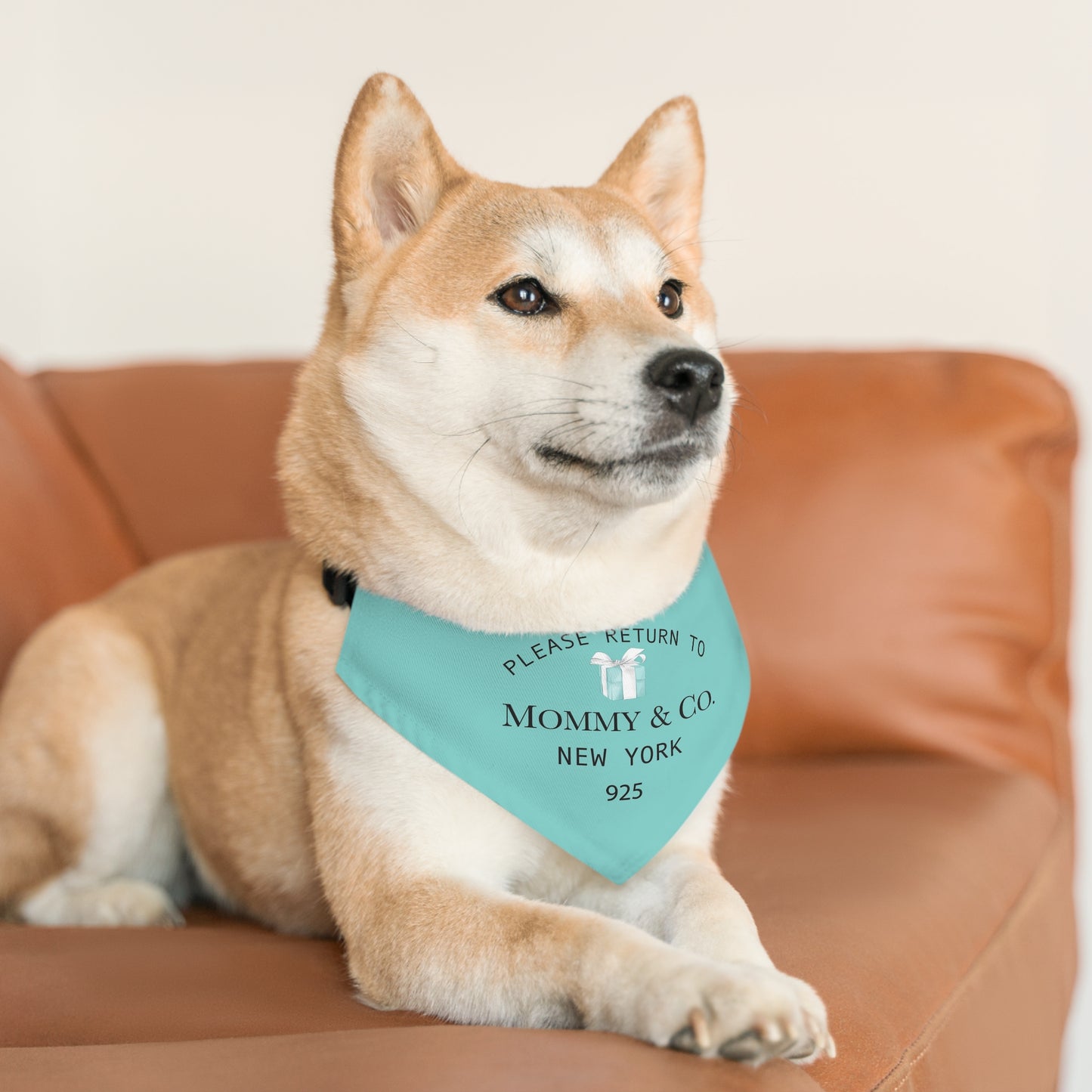 Personalized Little Blue Box Dog Bandana Collar - Please Return to Mommy and Co Pet Collar