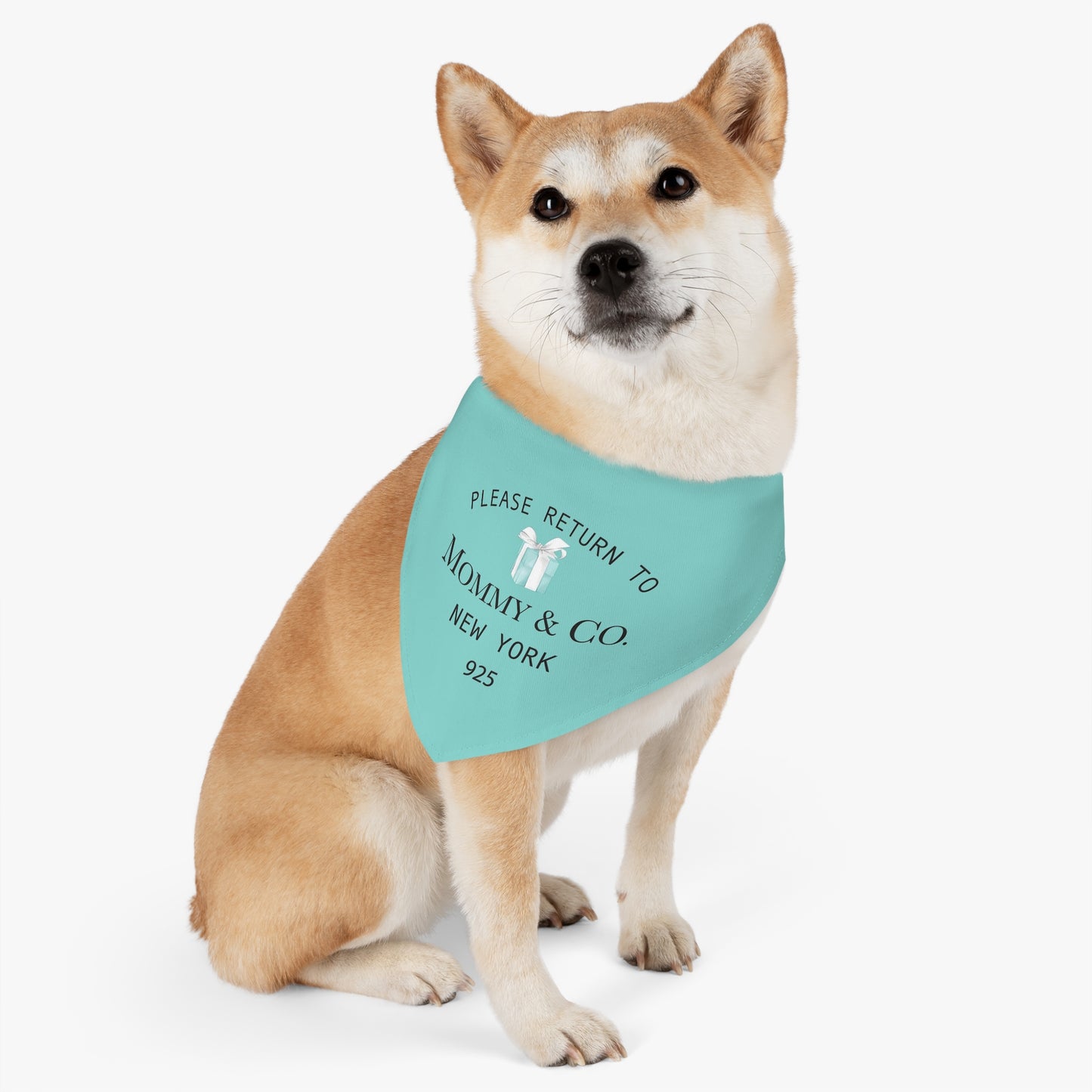 Personalized Little Blue Box Dog Bandana Collar - Please Return to Mommy and Co Pet Collar