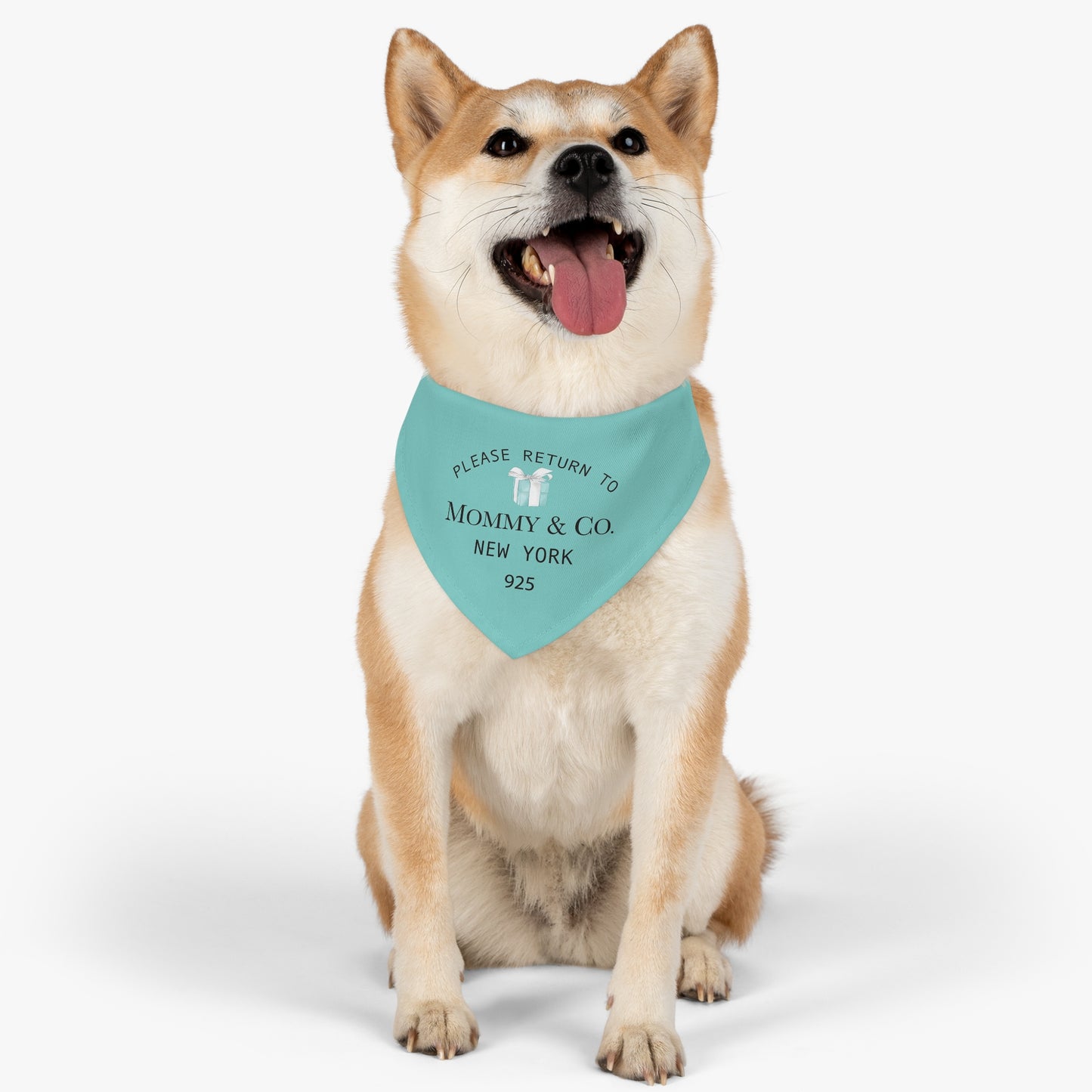 Personalized Little Blue Box Dog Bandana Collar - Please Return to Mommy and Co Pet Collar